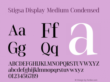 StigsaDisplay-MediumCondensed Version 1.000图片样张