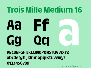 Trois Mille Medium 16 Version 1.000;hotconv 1.0.109;makeotfexe 2.5.65596 Font Sample