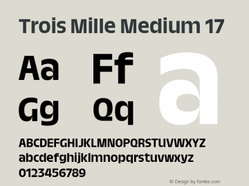 Trois Mille Medium 17 Version 1.000;hotconv 1.0.109;makeotfexe 2.5.65596 Font Sample