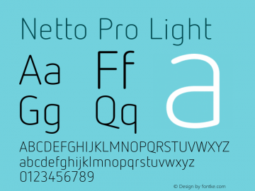 NettoPro-Light Version 7.60图片样张