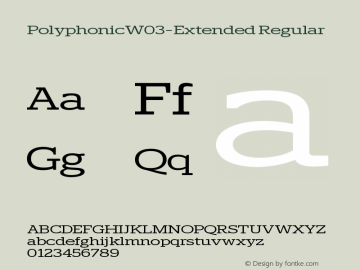 Polyphonic W03 Extended Version 1.00图片样张