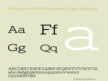 Polyphonic W05 Extended Light Version 1.00图片样张