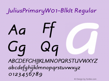 Julius Primary W01 Black Italic Version 1.00 Font Sample