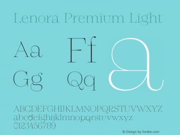 Lenora Premium Light Version 1.000;FEAKit 1.0图片样张