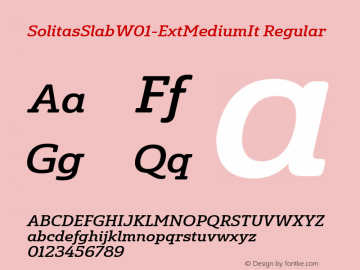 Solitas Slab W01 Ext Medium It Version 1.00图片样张