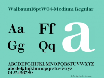 Walbaum 18pt W04 Medium Version 1.00 Font Sample