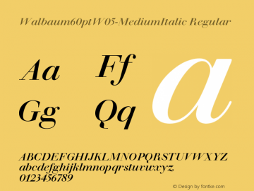 Walbaum 60pt W05 Medium Italic Version 1.01 Font Sample