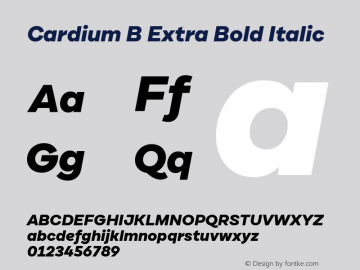 CardiumB-ExtraBoldItalic 1.000图片样张