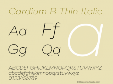 CardiumB-ThinItalic 1.000图片样张