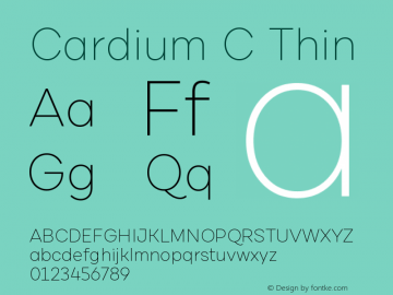 CardiumC-Thin 1.000图片样张