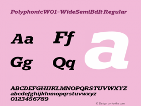 Polyphonic W01 Wide SemiBold It Version 1.00图片样张