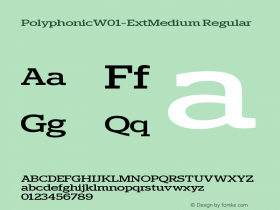 Polyphonic W01 Extended Medium Version 1.00图片样张