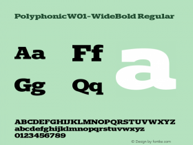 Polyphonic W01 Wide Bold Version 1.00图片样张