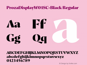 Proza Display W01SC Black Version 2.203图片样张