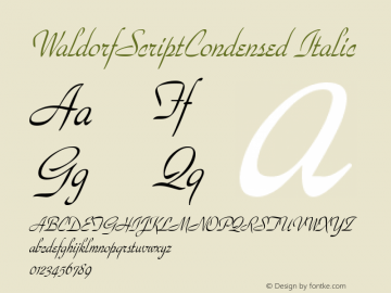 WaldorfScriptCondensed Italic Rev. 003.000图片样张