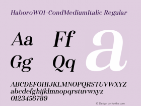 Haboro W01 Cond Medium Italic Version 1.00 Font Sample