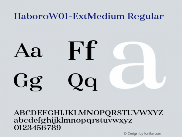 Haboro W01 Ext Medium Version 1.00 Font Sample