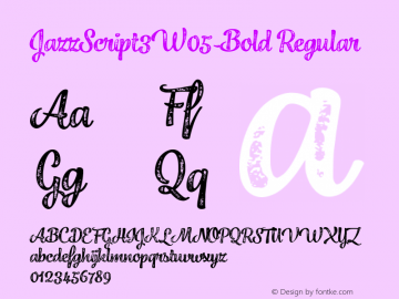 Jazz Script 3 W05 Bold Version 1.10图片样张