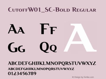 Cutoff W01_SC Bold Version 1.1 Font Sample
