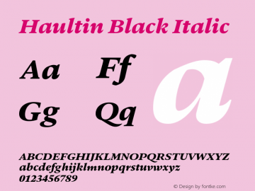 Haultin-BlackItalic Version 1.004图片样张