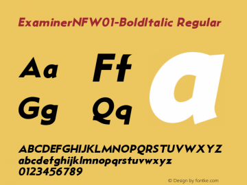 Examiner NF W01 Bold Italic Version 1.00图片样张
