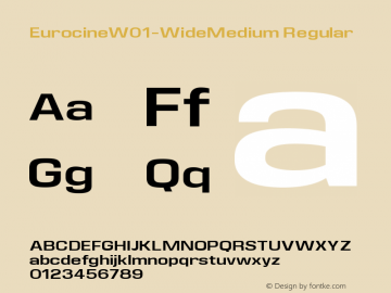 Eurocine W01 Wide Medium Version 1.00图片样张