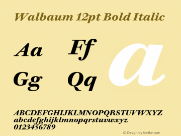 Walbaum 12pt Bold Italic Version 1.01, build 5, s3 Font Sample