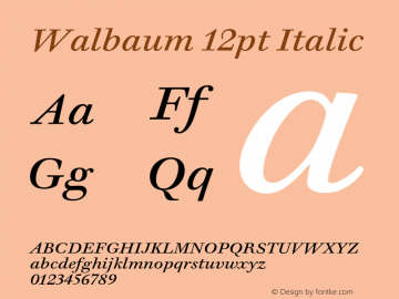 Walbaum 12pt Italic Version 1.01, build 5, s3 Font Sample