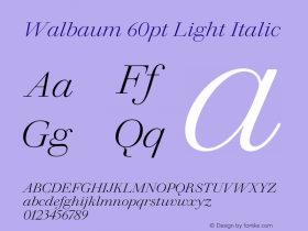 Walbaum 60pt Light Italic Version 1.01, build 5, s3 Font Sample