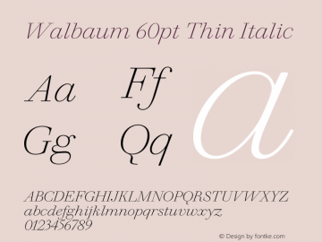 Walbaum 60pt Thin Italic Version 1.01, build 5, s3 Font Sample