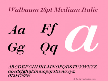 Walbaum 18pt Medium Italic Version 1.01, build 5, s3 Font Sample