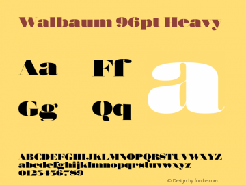 Walbaum 96pt Heavy Version 1.00, build 15, s3 Font Sample