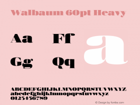 Walbaum 60pt Heavy Version 1.00, build 15, s3 Font Sample