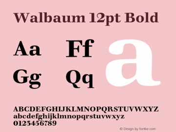 Walbaum 12pt Bold Version 1.00, build 14, s3 Font Sample