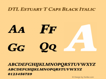 DTL Estuary T Caps Black Italic Version 001.000图片样张
