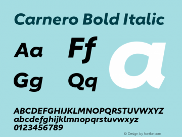 Carnero Bold Italic Version 1.10, build 11, s3图片样张