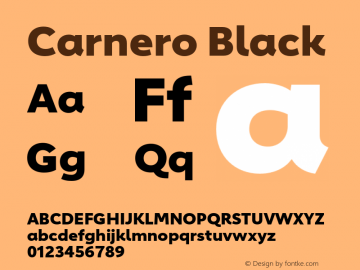 Carnero Black Version 1.10, build 11, s3图片样张