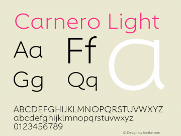 Carnero Light Version 1.10, build 11, s3图片样张