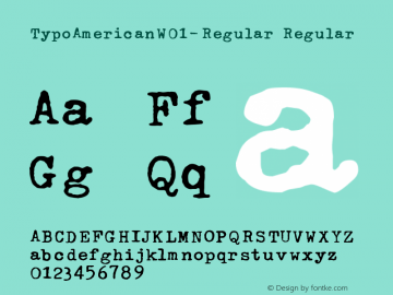 Typo American W01 Regular Version 1.10 Font Sample