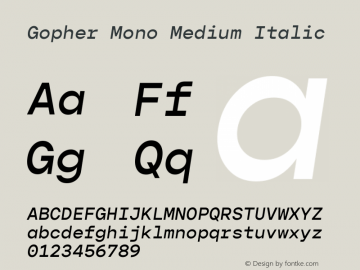 Gopher Mono Medium Italic 1.001图片样张