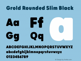 Grold Rounded Slim Black 1.000图片样张