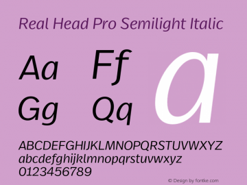 Real Head Pro Semilight Italic Version 7.70图片样张