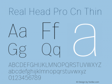 Real Head Pro Cn Thin Version 1.00 Font Sample