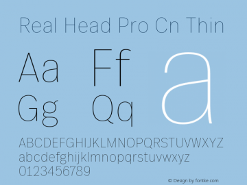 Real Head Pro Cn Thin Version 1.00图片样张