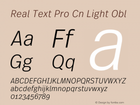 Real Text Pro Cn Light Obl Version 1.00图片样张