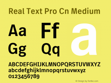 Real Text Pro Cn Medium Version 1.00 Font Sample