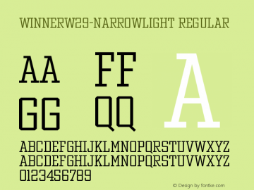 Winner W29 Narrow Light Version 1.104图片样张