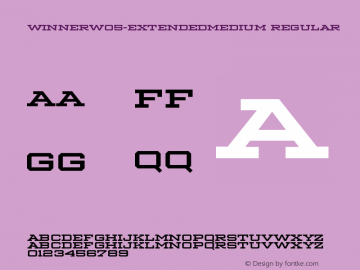 Winner W05 Extended Medium Version 1.104 Font Sample