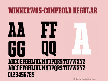 Winner W05 Comp Bold Version 1.104 Font Sample