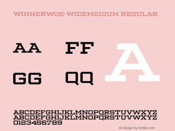 Winner W05 Wide Medium Version 1.104 Font Sample